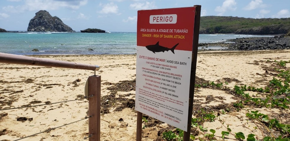 Ministério Publico recomenda restrições de banho de mar e estudos para reduzir risco de ataque de tubarão em Noronha