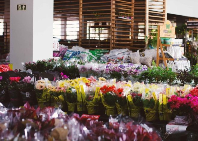 Palato celebra a chegada da primavera com exposição no Festival das Flores