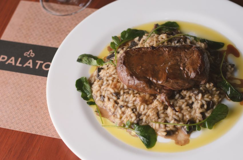 Palato realiza evento gastronômico com degustação de vinhos no RioMar Recife